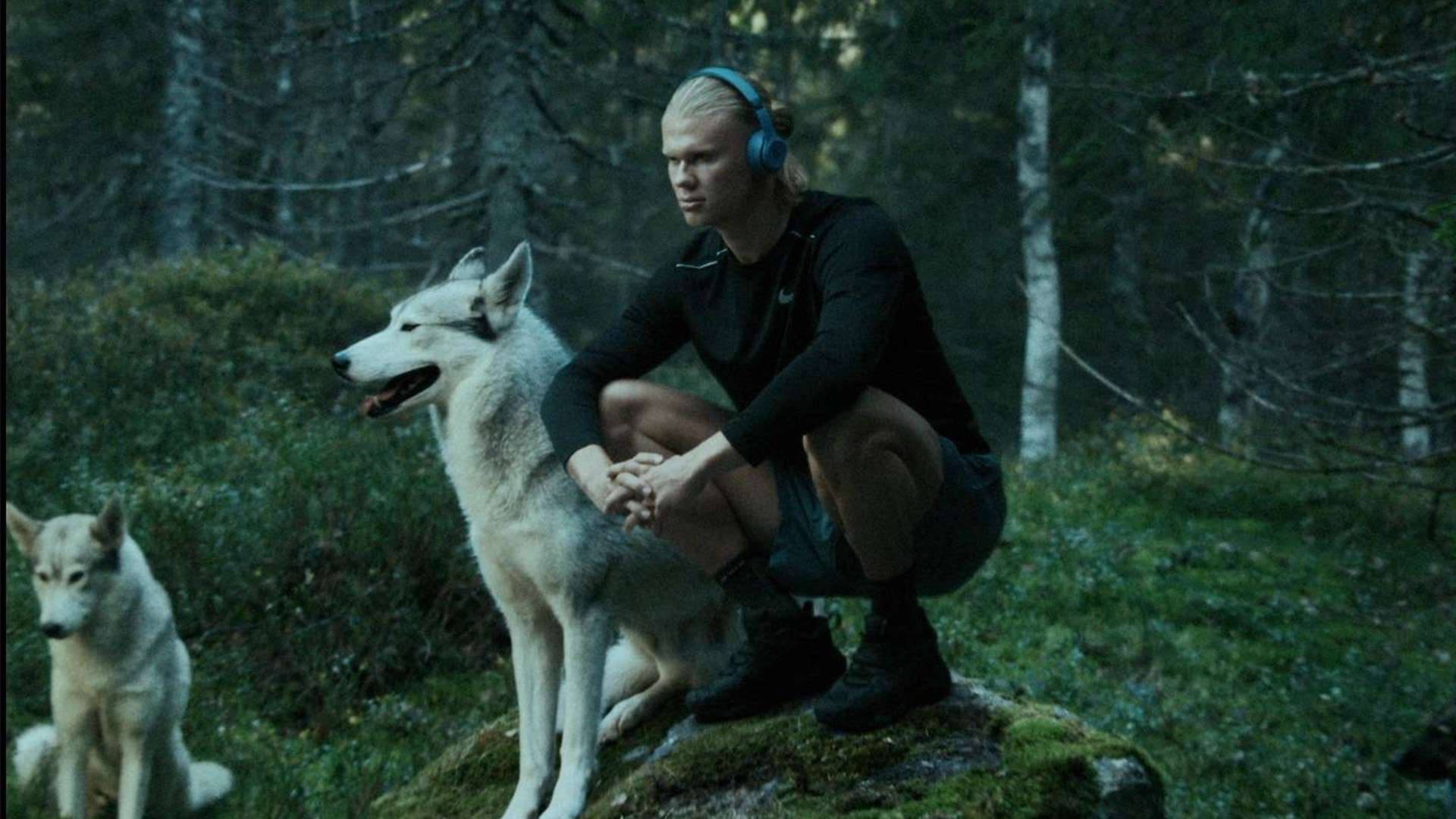 添了更多的 添了更多的